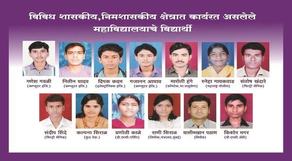 Alumni working in government and private service