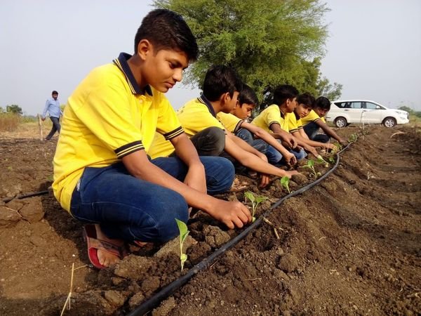 Students planting saplings